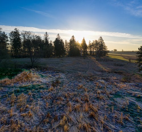 Gratis lagerfoto af bane, frossen, frost