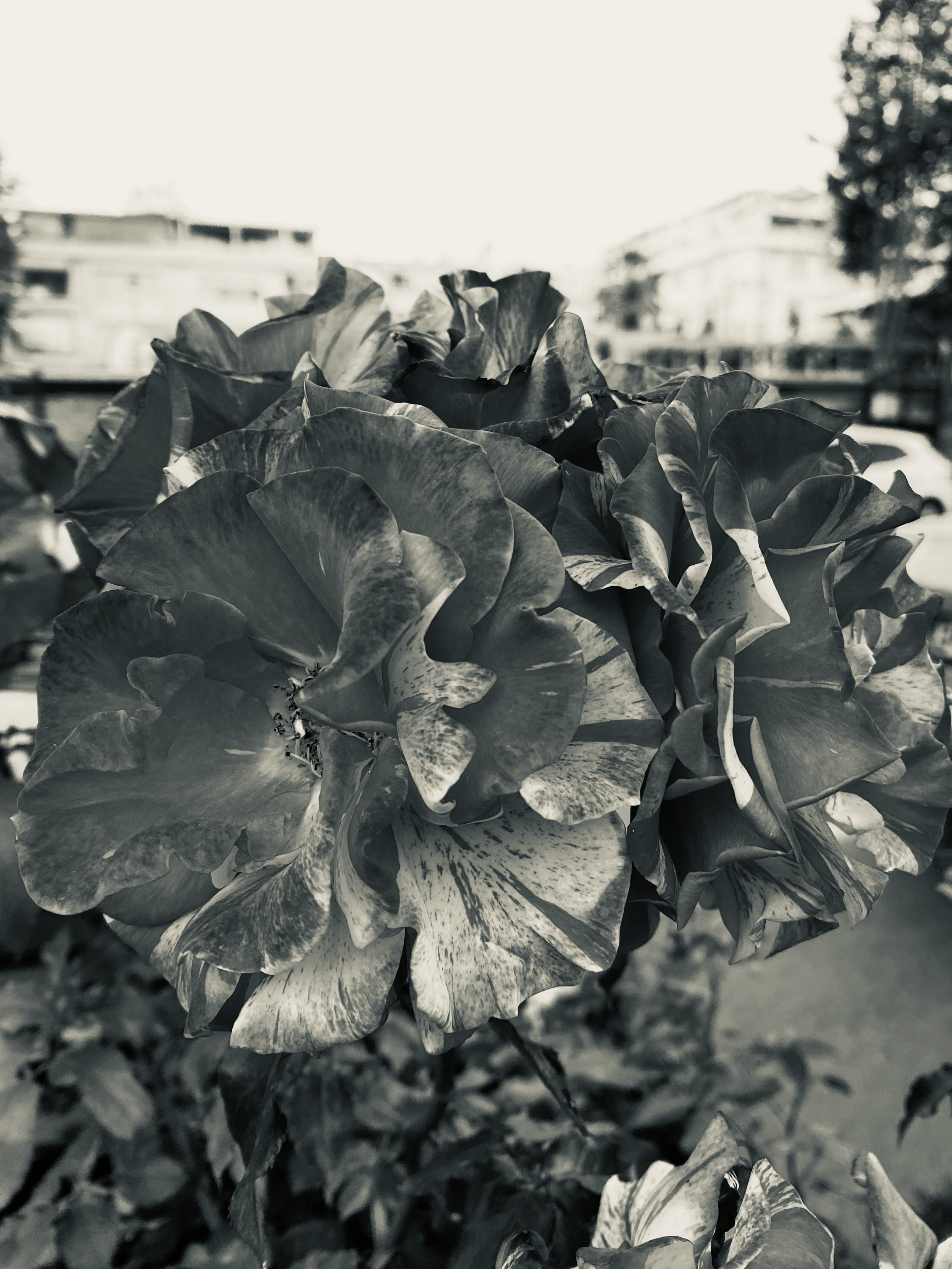 Dynamic AI insurance risk models analyzing behavior data