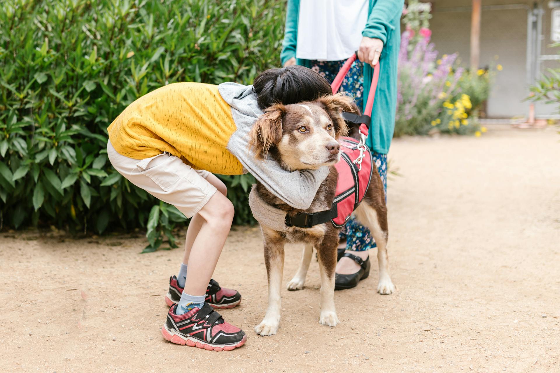 A Child Embracing a Brown Dog