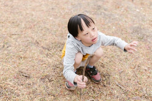 갈색 잔디, 긴 소매, 나무의 무료 스톡 사진