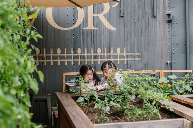 Two Children Standing Behind A Plant Box