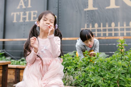 คลังภาพถ่ายฟรี ของ aspergers, cromosoma พิเศษ, sindrome de down