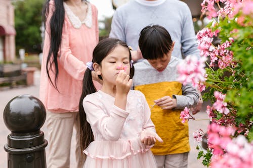 Free stock photo of adhd, asian, asian family