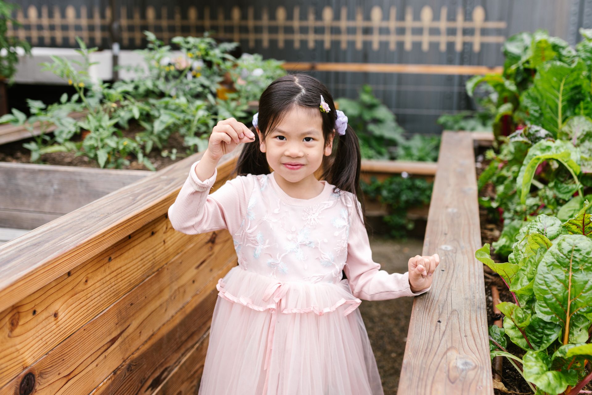 A Girl in Pink Dress Standing Near Vegetable Plant Boxes