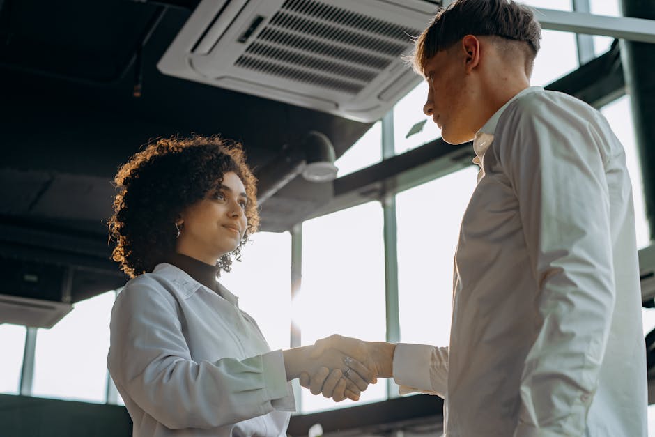 Magnetic Networking: Attracting Success Through Powerful Connections