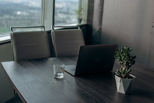 Ilmainen kuvapankkikuva tunnisteilla kannettava tietokone, puinen pöydän kansi, ruukkukasvi