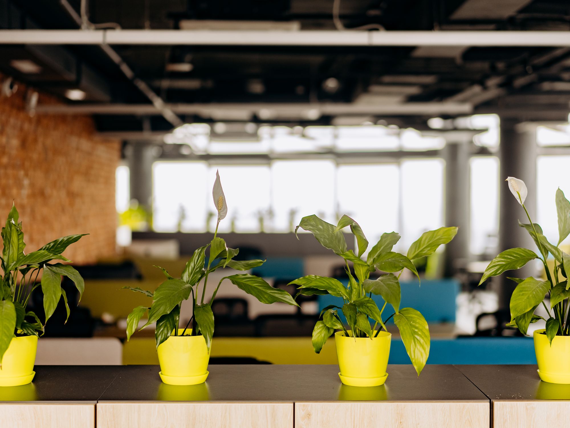 Office Removals in Peasenhall, East of England — commercial relocation team moving office furniture and IT