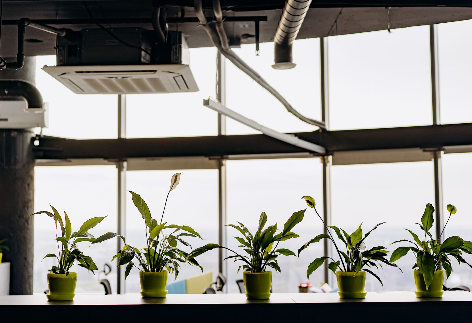 Rossendale — office relocation team moving desks and equipment