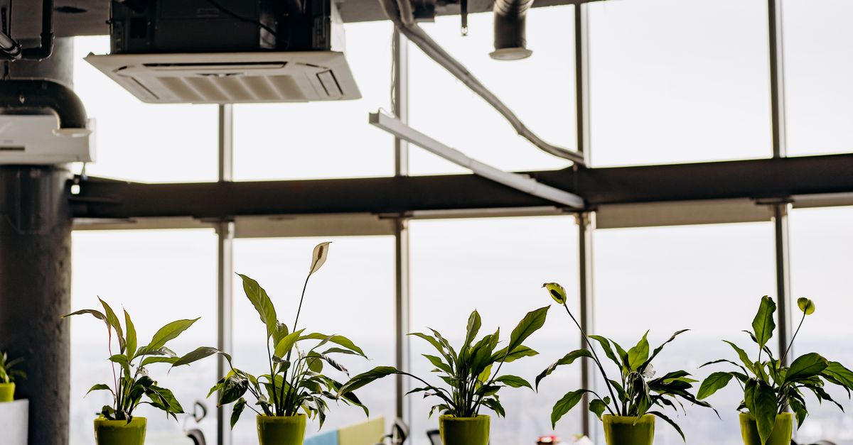 Les bienfaits d'un toner écologique pour votre santé