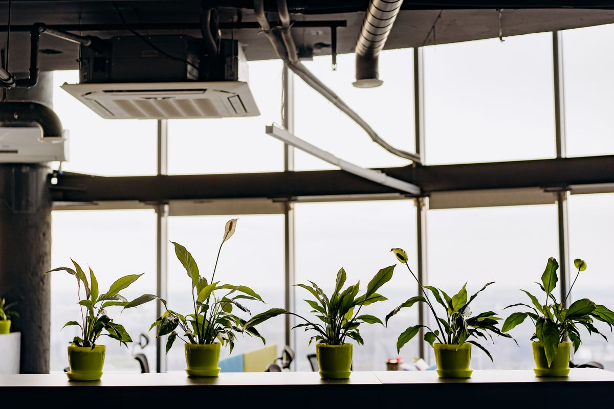 office relocation in Parson Drove — Office Relocation in Parson Drove — the working end of the job