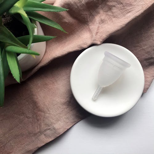 White Menstrual Cup on Small Ceramic Plate 