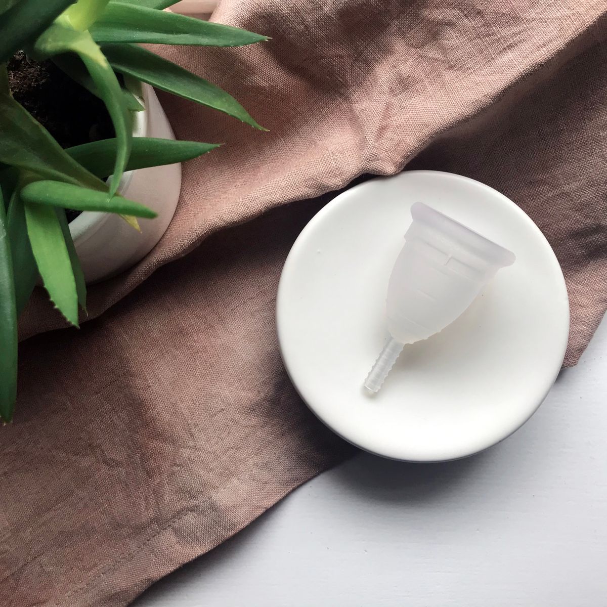 Coupe menstruelle réutilisable sur une petite assiette en céramique