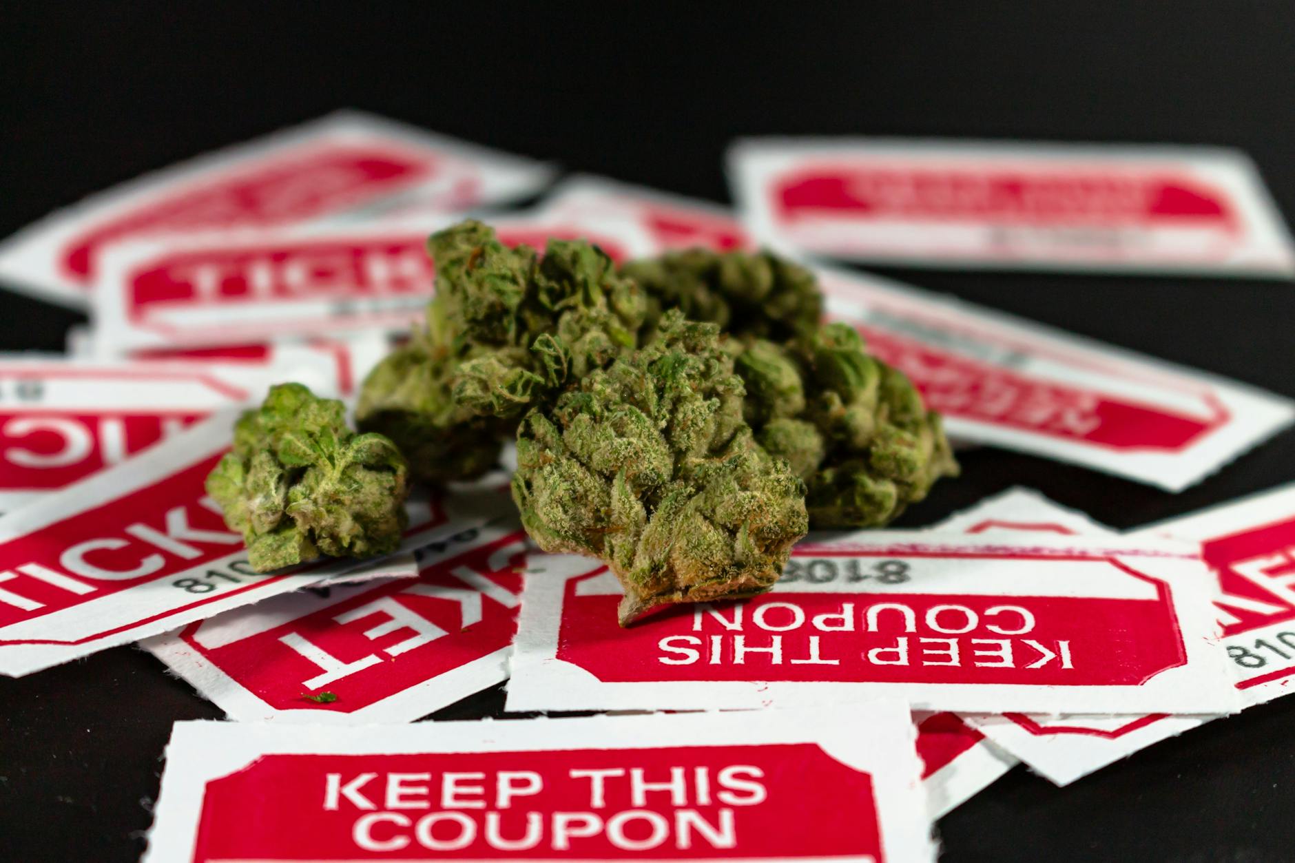 Close-up of cannabis buds with red and white ticket stubs in the background on a dark surface.