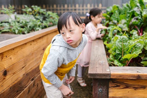 Free stock photo of adhd, asian, asian family