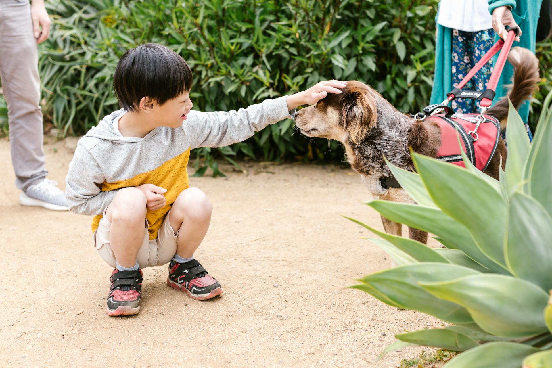 Special Child in Yellow and Gray Hoodie Long Sleeve Shirt Petting a Dog