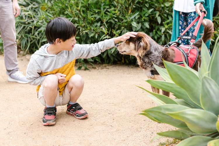 Special Child In Yellow And Gray Hoodie Long Sleeve Shirt Petting A Dog