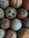 Brown Coconuts