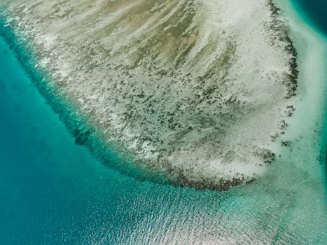 Explore the serene beauty of a remote beach with crystal-clear turquoise waters, captured from above.