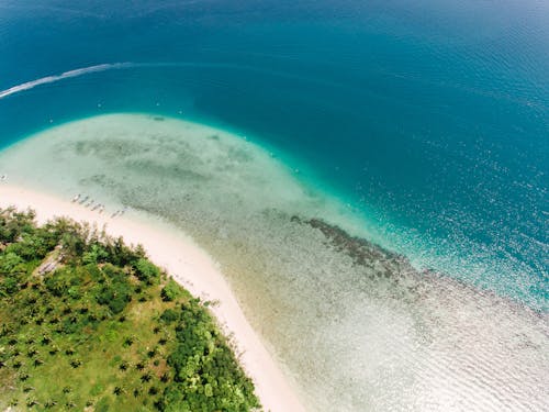 Foto d'estoc gratuïta de arbres, Costa, foto des d'un dron