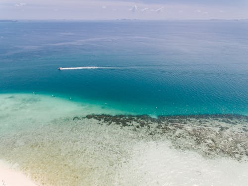 Birds Eye View from an Island