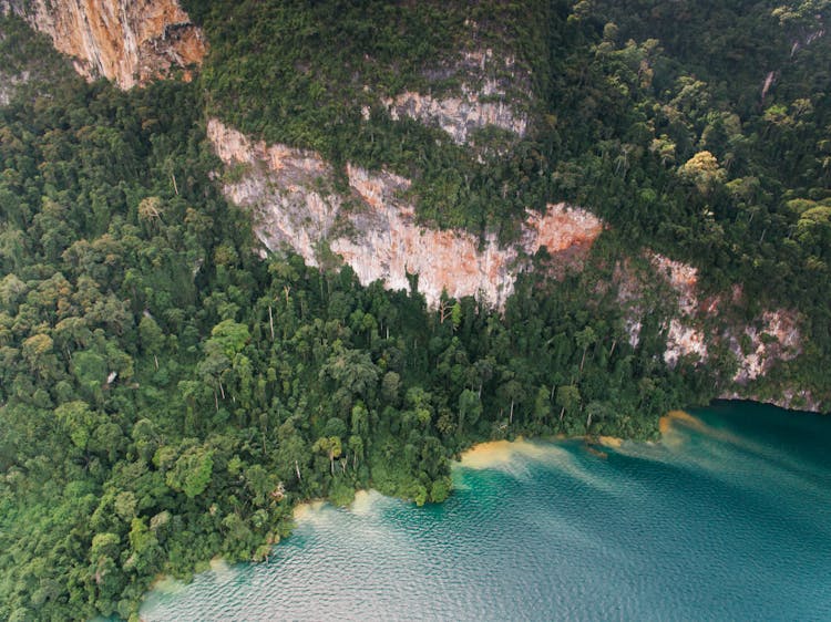 Drone Shot Of A Coastal Mountain Forest