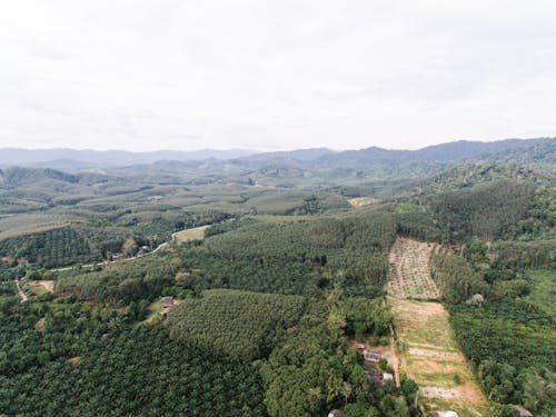 下田, 从上面查看, 山谷 的 免费素材图片