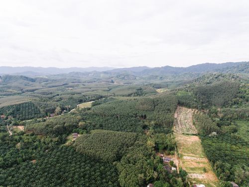 Free Discover the stunning aerial view of lush tropical farmland with vibrant greenery and scenic mountains. Stock Photo