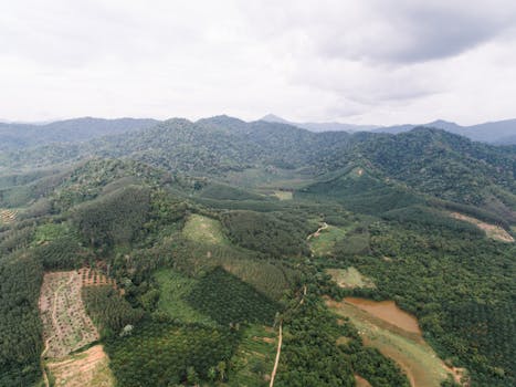 Stunning aerial shot of lush green mountains and farmland under a cloudy sky.