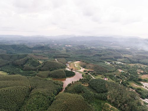 Free Aerial shot showcasing a vast expanse of lush green forests and a winding river under a cloudy sky. Stock Photo
