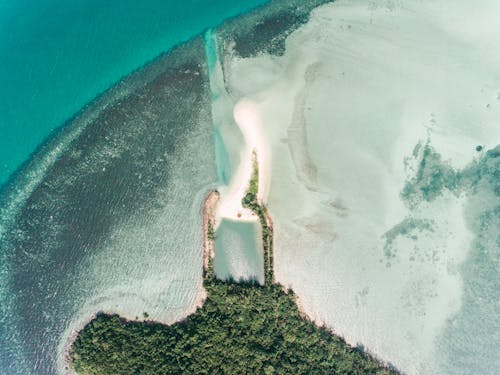 Бесплатное стоковое фото с водоем, деревья, море