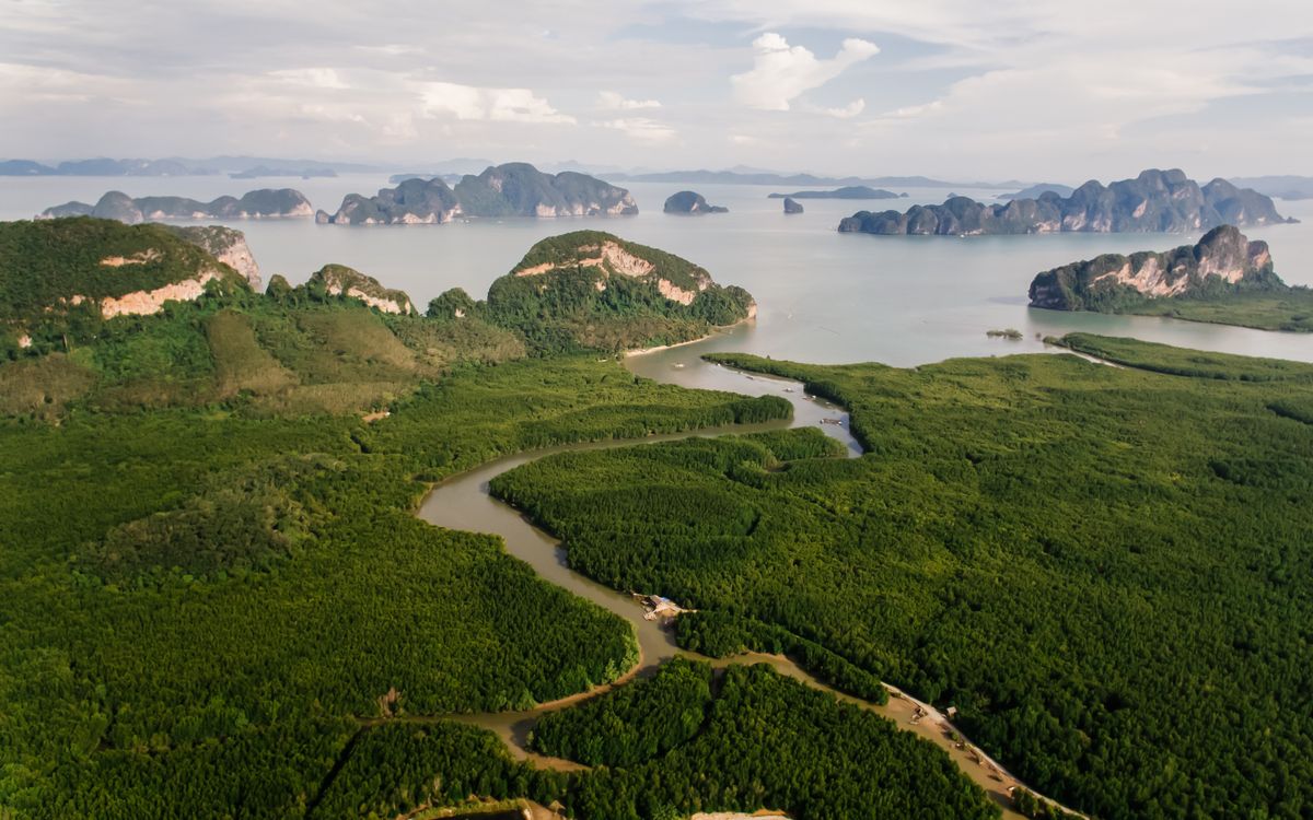 Aerial shot of a verdant forest leading to scenic islands and water.