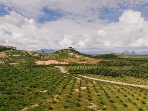 Free Aerial view of expansive countryside with green fields and rolling hills under a cloudy sky. Stock Photo