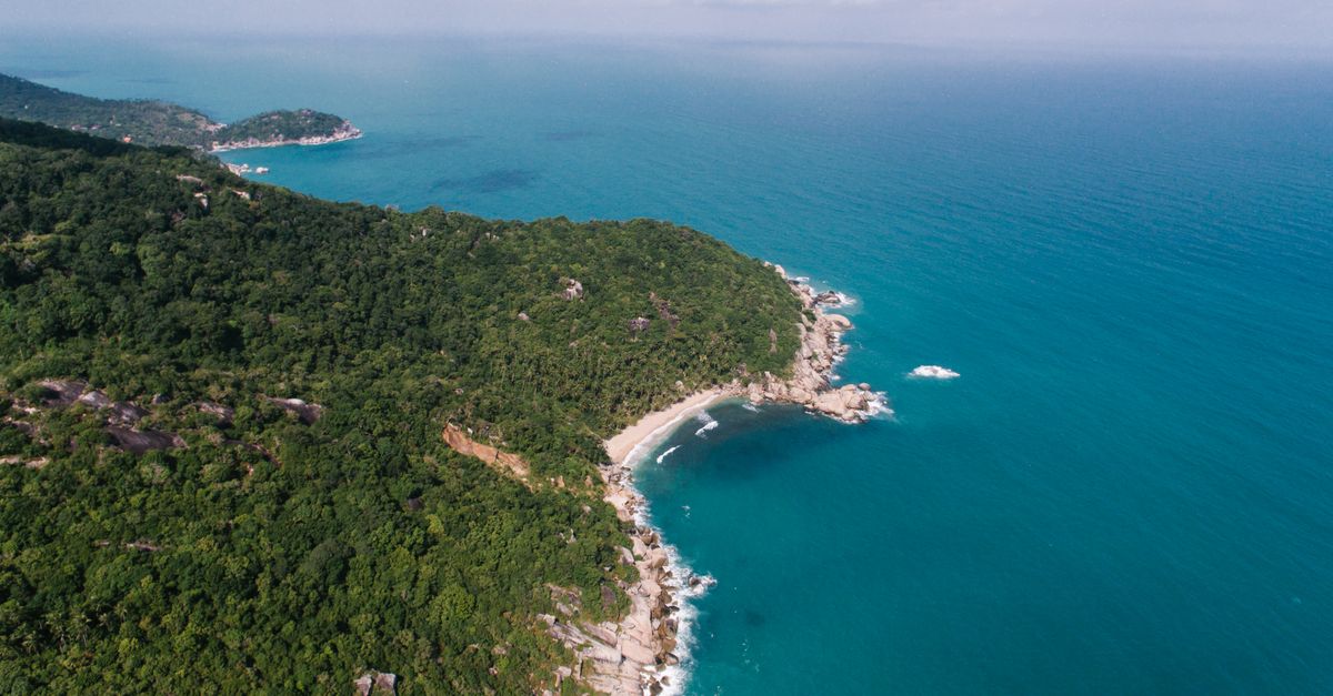 Koh Samui north coast with turquoise gulf waters and coconut palm groves at dawn viewed from above