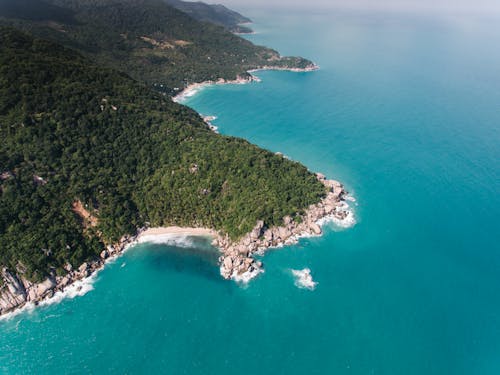 Green Trees on Island near the Ocean