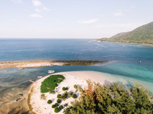 Immagine gratuita di acqua, litorale, mare