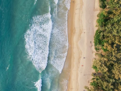 Free Stunning aerial shot of a beach meeting turquoise ocean waves, bordered by lush greenery. Stock Photo