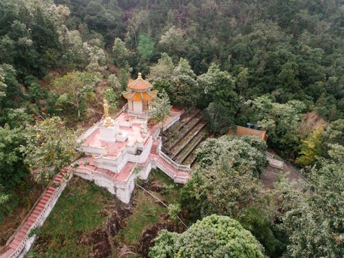 Fotos de stock gratuitas de arboles, bosque, foto con dron