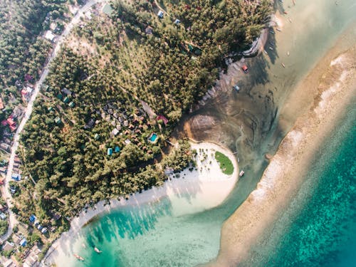 Aerial Photography of a Beach and a Tourist Resort 
