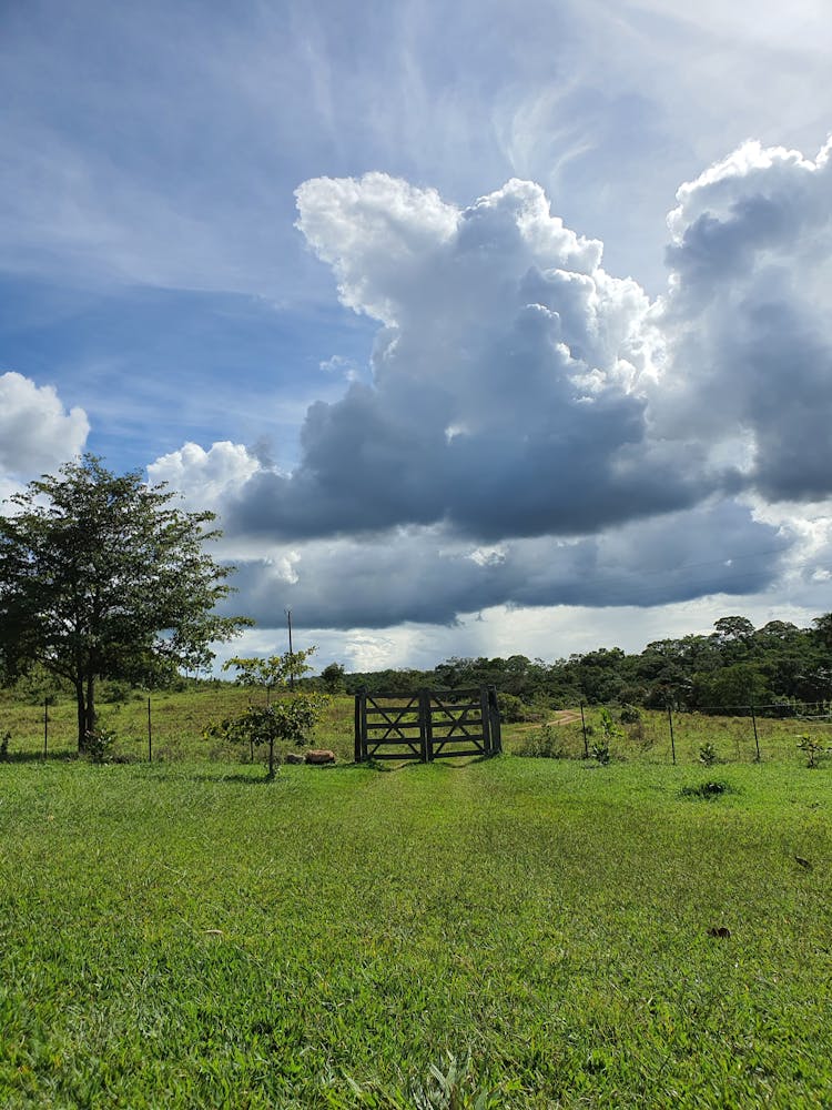 Rain Clouds On Sunny Summer Day