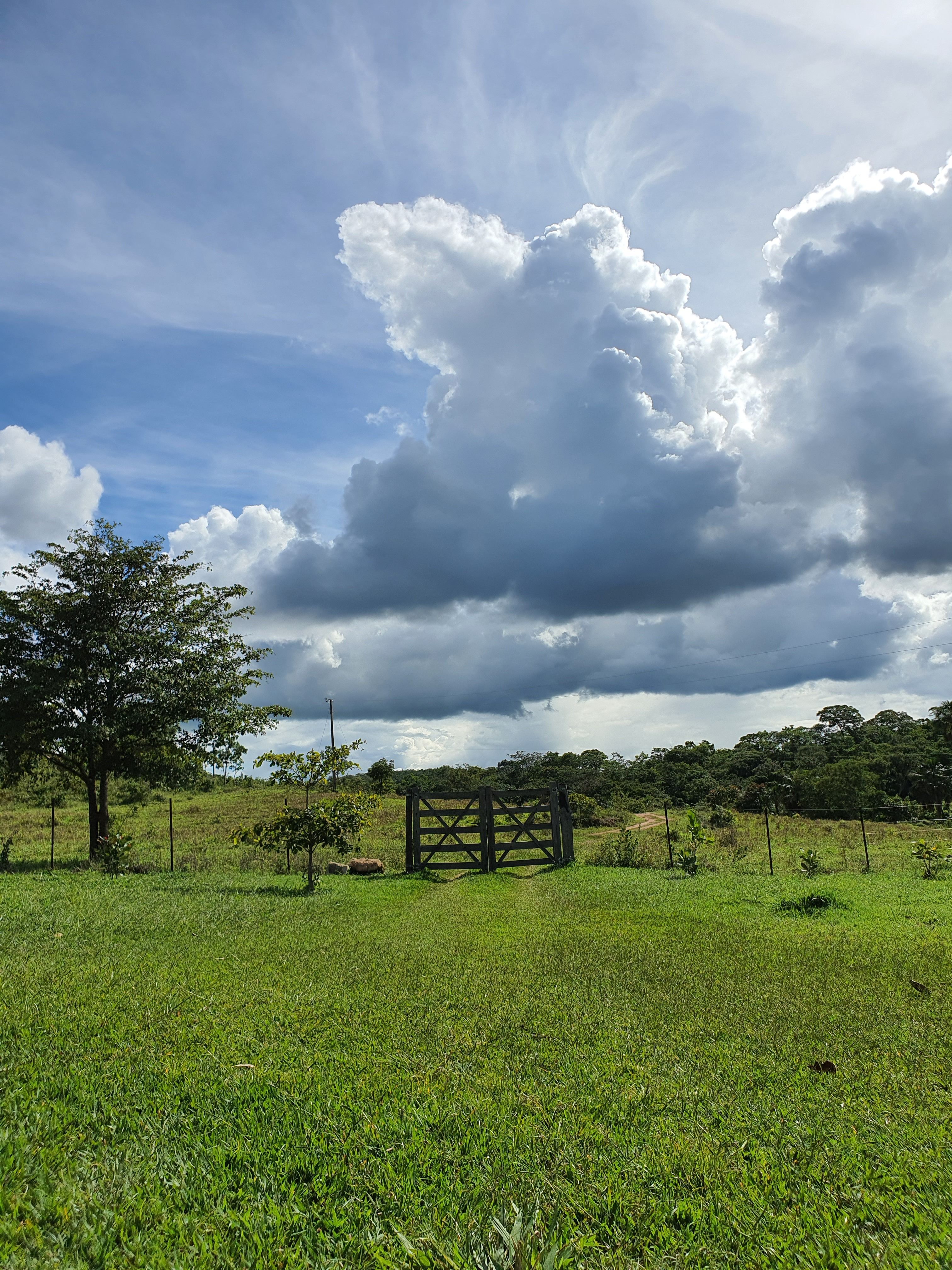 Grass Field Under Cloudy Sky · Free Stock Photo
