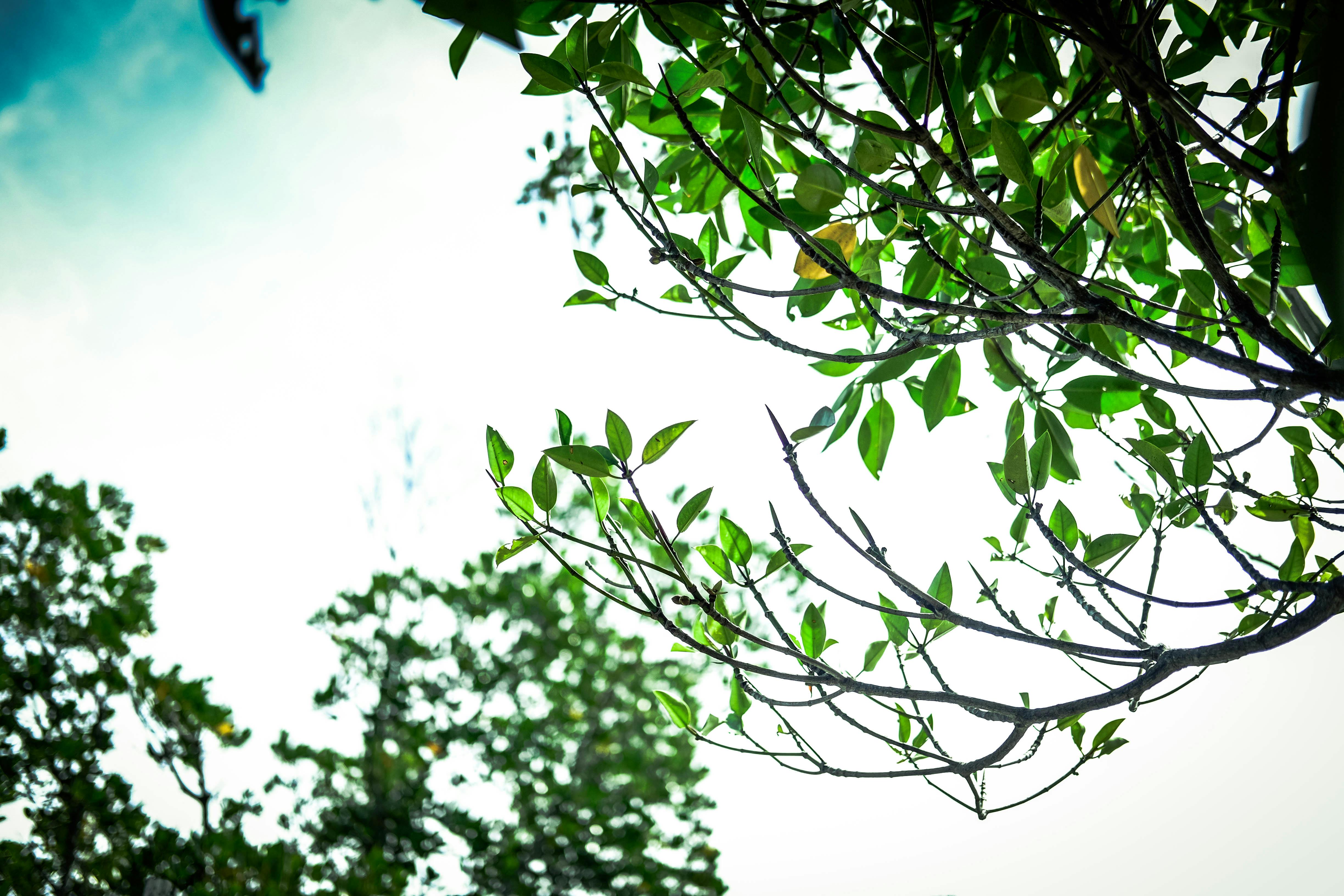 Sorting Skincare Products