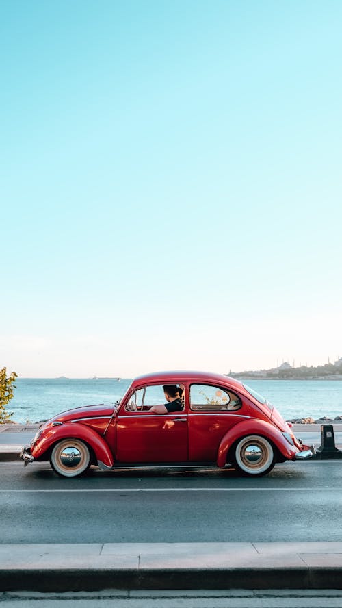 бесплатная Бесплатное стоковое фото с Volkswagen Beetle, вертикальный выстрел, вид сбоку Стоковое фото
