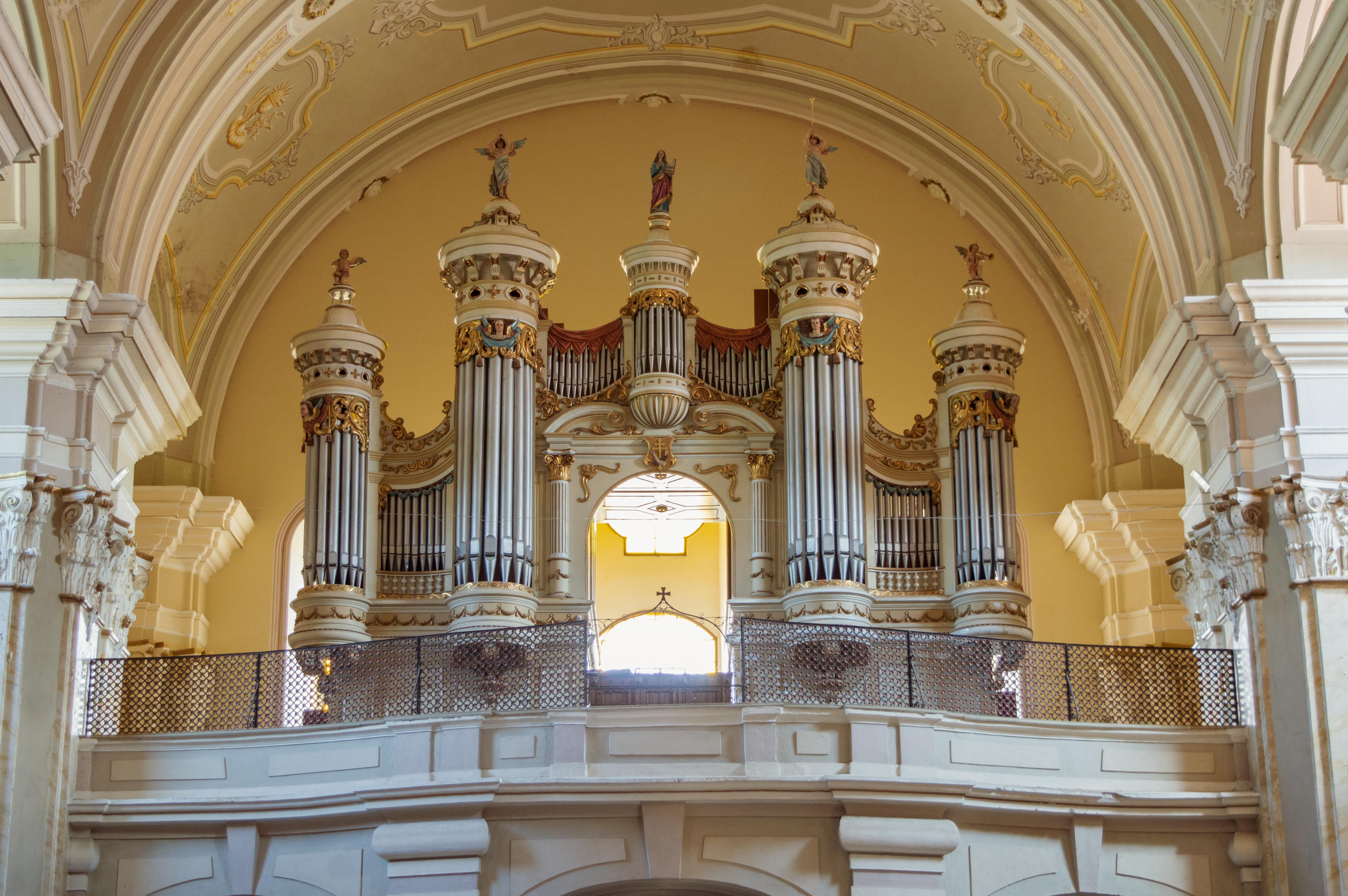 What organs are affected by ketosis?