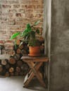 A Potted Plant on a Wooden Table Near the Concrete Wall