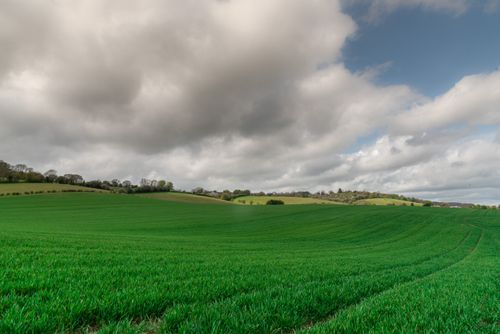 Free Expansive green fields in the UK countryside under a dramatic cloudy sky, capturing the essence of rural beauty. Stock Photo