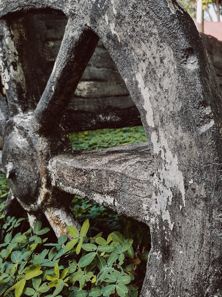 Old Wheel Of Carriage On Grass