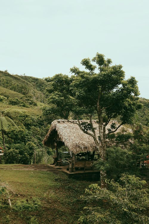 Darmowe zdjęcie z galerii z bungalow, chata, drzewa