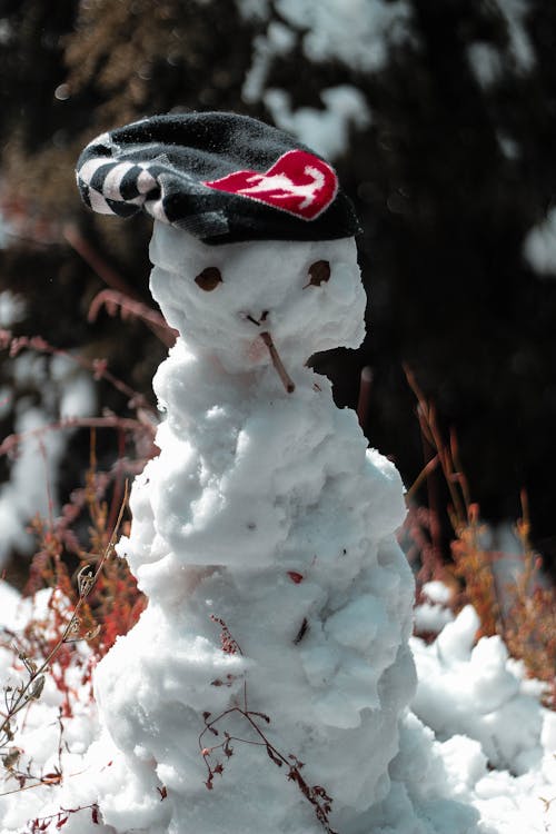 Free stock photo of mountain, snow, snowman