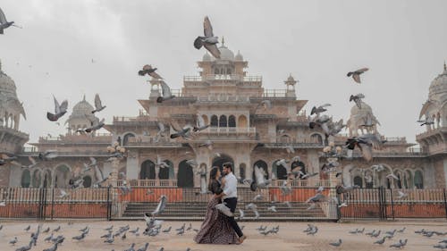 A Couple Standing in Front of Albert Hall Museum while Surrounded with Birds Flying