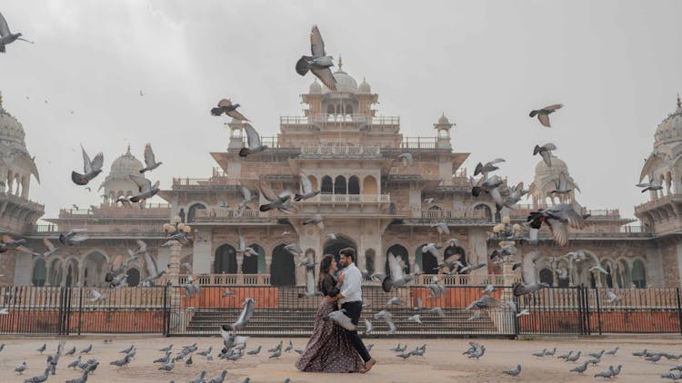 A Couple Standing In Front Of Albert Hall Museum While Surrounded With Birds Flying